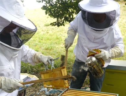 Méhészeti eszközök, mind a méhészetek, hogy milyen felszerelést lehet kézzel végzik, a video