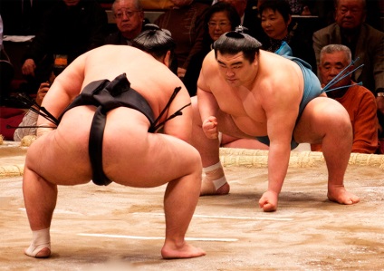 sumo Art