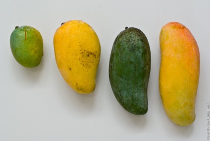 Hogyan enni mangó rendesen bőrrel vagy anélkül (fotó és videó)