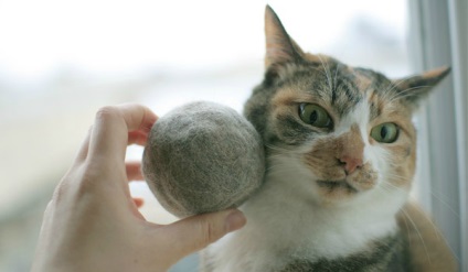 Milyen vitaminok macskáknak hajhullás hatékony