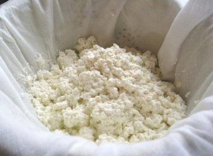Mivel a savanyú tej sajtkészítés otthon - hogyan lehet sajtot otthon