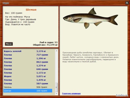 Hogyan lehet elkapni a halat Samp-rp Online