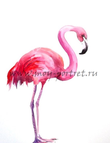 Hogyan kell felhívni a flamingó (Flamingo) Hogyan kell felhívni a flamingó