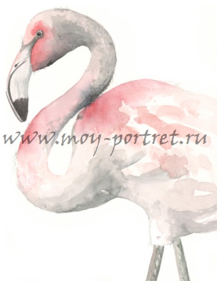Hogyan kell felhívni a flamingó (Flamingo) Hogyan kell felhívni a flamingó