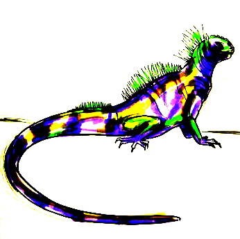 Hogyan kell felhívni egy leguán (Iguana színezés) Hogyan rajzoljunk egy leguán