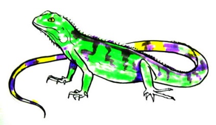Hogyan kell felhívni egy leguán (Iguana színezés) Hogyan rajzoljunk egy leguán