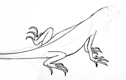 Hogyan kell felhívni egy leguán (Iguana) Hogyan rajzoljunk egy leguán