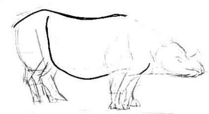 Hogyan kell felhívni egy orrszarvú (hogyan kell felhívni a orrszarvú) Hogyan kell felhívni a Rhino