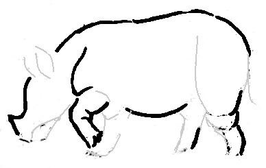 Hogyan kell felhívni egy orrszarvú (orrszarvú döntetlen) Hogyan kell felhívni a Rhino