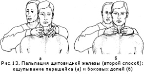 Hogyan lehet megtalálni a pajzsmirigy (Endocrinology) Hogyan érzi magát a pajzsmirigy