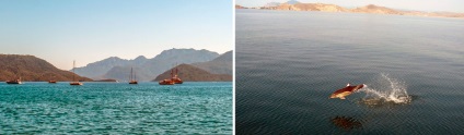 Melyik tenger jobb fekete vagy a fő jellemzői a Földközi-tenger