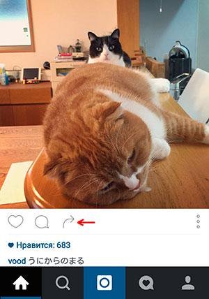 Hogyan küldeni instagramy érintkező (Levél instagramy érintkező) Hogyan küldeni instagramy érintkező