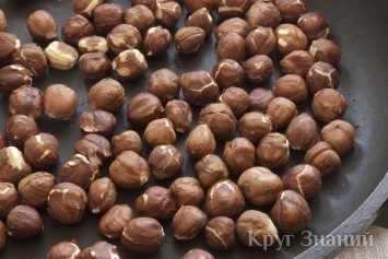 Hogyan húzza mogyoró - egy kört a tudás (tiszta) Hogyan húzza mogyoró - körű ismerete