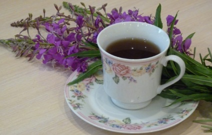 Hogyan készüljünk fűz tea (íz illat Koporsky) Hogyan készüljünk tea fűz