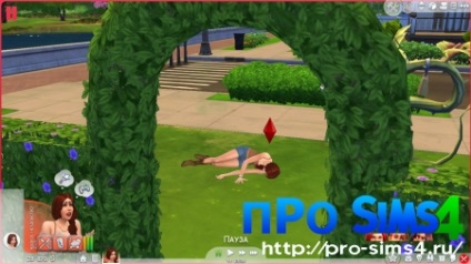 Főzni parlagfű a Sims 4