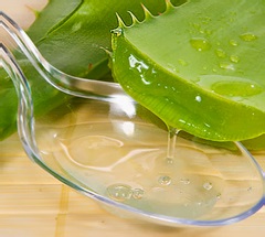 Hogyan készítsünk orrcsepp aloe otthon (drop) Hogyan készítsünk orrcsepp aloe otthon