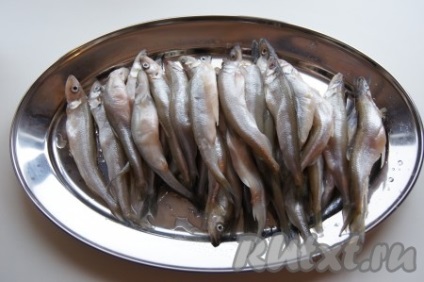 Főzni pácolt szaga - egy recept fényképpel (olvasztás) Főzni pácolt szaga - a recept egy fotó