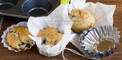 Hogyan készítsünk formák muffin - a kör tudás (muffin) Hogyan készítsünk formák muffin - a kör ismeretek
