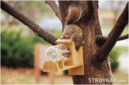 Hogyan készítsünk egy madáretető számára mókusok kezüket alapon, udvar, kert, hétvégi ház