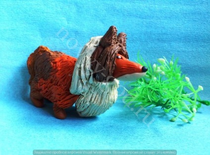 Mint egy vak kutya gyurma (Collie fajta), Szilveszter (Collie) Mint egy vak kutya gyurma (Collie fajta), Szilveszter