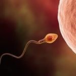 Hogyan lehet növelni a spermiumok számát, sperma mennyisége termelt