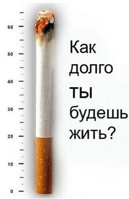 Hogyan működik a dohányzás az emberi máj