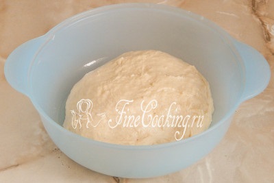 Burgonya zsemle - a recept egy fotó (fotók) Burgonya zsemle - a recept egy fotó