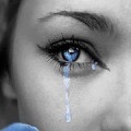 Miért álom álom könyv paradicsom piros paradicsom, egy álom (piros) Miért álom álom könyv paradicsom piros paradicsom egy álom
