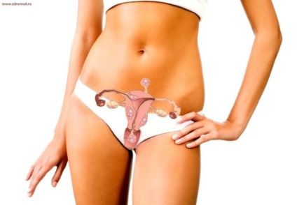 A ciklus után helyreáll a születési dátumok és jellemzők (ha a ciklust a szülés utáni helyreállítási menstruatsionny menstruációs menstruáció hónapban, mint a születési hónap jelenti) A ciklus után helyreáll a születési dátumokat és jellemzői
