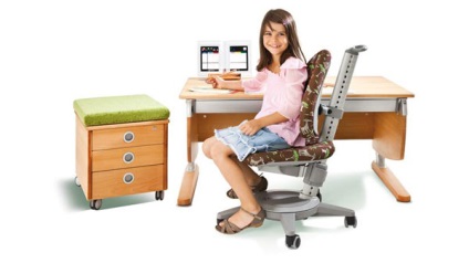 Kényelmes és hasznos ortopédiai szék a számítógép, az internet magazin a bútorok
