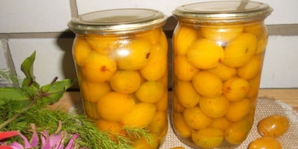Kompót sárga szilva gyümölcsital recepteket blank