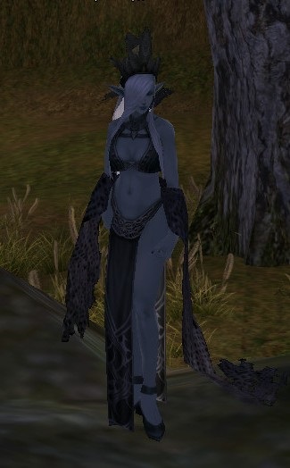 Quest on mosott PC - Lineage 2 (Ön) Quest on mosott PC - Lineage 2
