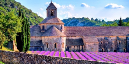 Levendula mezők, Provence (Franciaország-all) Levendula mezők, Provence
