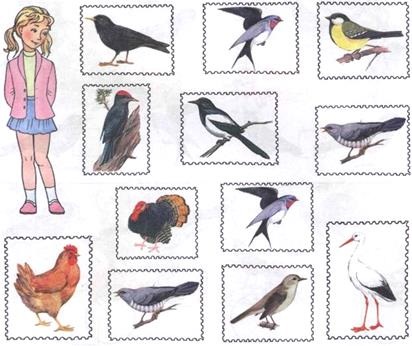 Lexikális témája a vándorló madarak (vándorló) Lexikális témája vándormadarak