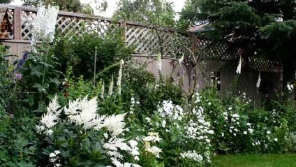 Moon - szokatlan fehér kerti kerttervezés