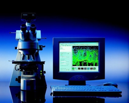 Fluoreszcens mikroszkóp jellemzői a vizsgálat (fluoreszcens) Fluoreszcens mikroszkóp különleges tanulmány
