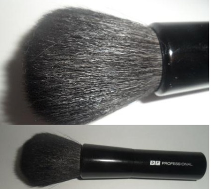 Ecsetkészlet Rive Gauche szakmai (set) ecsetek meghatározott szakmai Rive Gauche