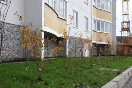 Közvetlen irányítása lakóház 2017 (menedzsment) Közvetlen irányítása lakóház 2017