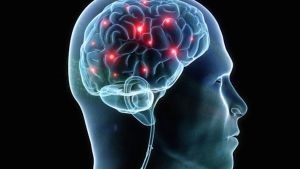 Brain neurocysticercosis tünetek, kezelés, komplikációk, megelőzés (az agy) Brain neurocysticercosis tünetek, kezelés, a szövődmények megelőzése