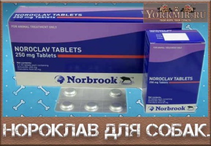 Noroklav kutyák, tabletták, használati utasítás