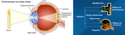 Az optikai rendszer a szem funkciók és tulajdonságok (kép)