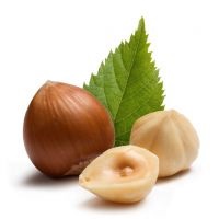 Nuts mogyoró - előnyei és hátrányai (mogyoró) Nuts mogyoró - előnyei és hátrányai