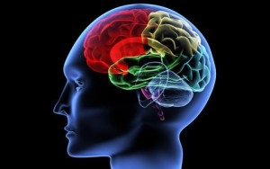 Akut disszeminált encephalomyelitis - tünetei, kezelése, és következményei (encephalomyelitis) Akut disszeminált encephalomyelitis - tünetei, kezelése, és következményei