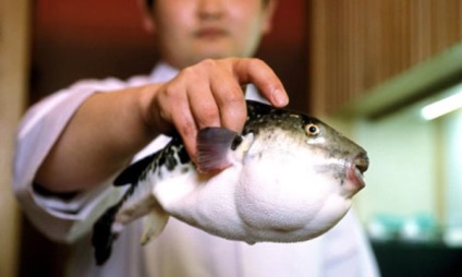 Отруєння рибою симптоми і лікування, що робити і приймати