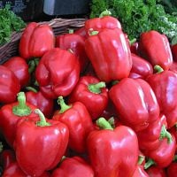 Pepper Pepper