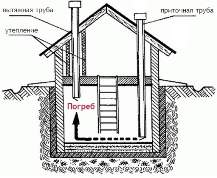 Pince a kezüket a garázsban (pince) Pince a kezüket a garázsban
