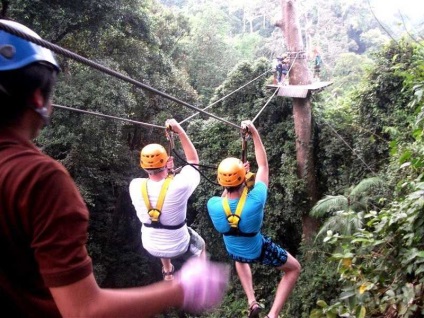 Flight of the Gibbon Phuket