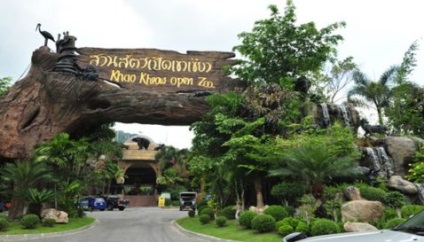 Flight of the Gibbon Pattaya és Phuket (gibbon) Flight of the Gibbon Pattaya és Phuket