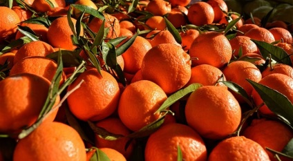 Használata narancs és káros az egészségre