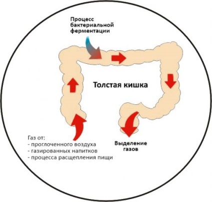 Folytatva forr a bélben és a forma gázok csinálni (és fájdalom) Folyamatosan forrongó a bélben és a forma gázok csinálni